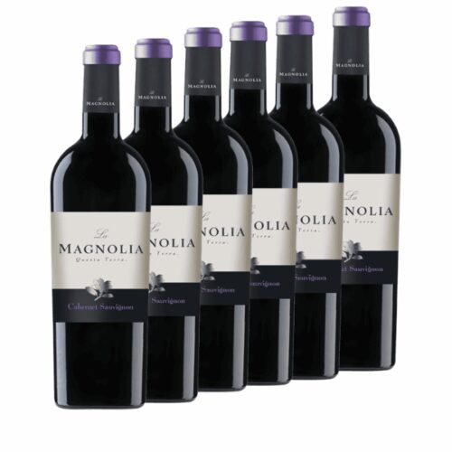 La Magnolia - 6 bottiglie Cabernet Sauvignon