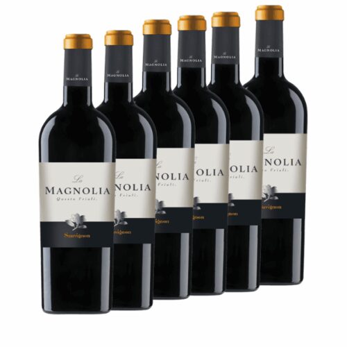 La Magnolia - 6 bottiglie Sauvignon